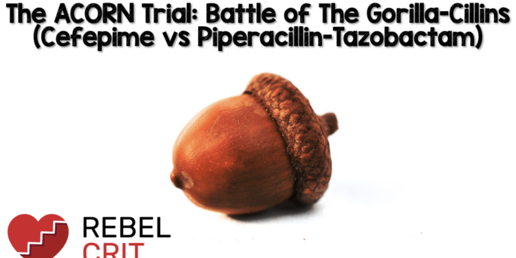 The ACORN Trial: Battle of the Gorilla-Cillins (Cefepime vs Piperacillin-Tazobactam)
