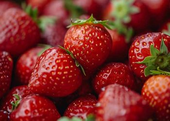 Enhancing Immunity With Strawberries