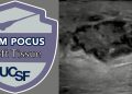 PEM POCUS Series: Soft Tissue Ultrasound