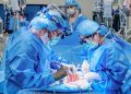 VIDEO O femeie a devenit primul pacient din lume supus unei proceduri combinate de implant de pompă cardiacă și transplant de rinichi de porc