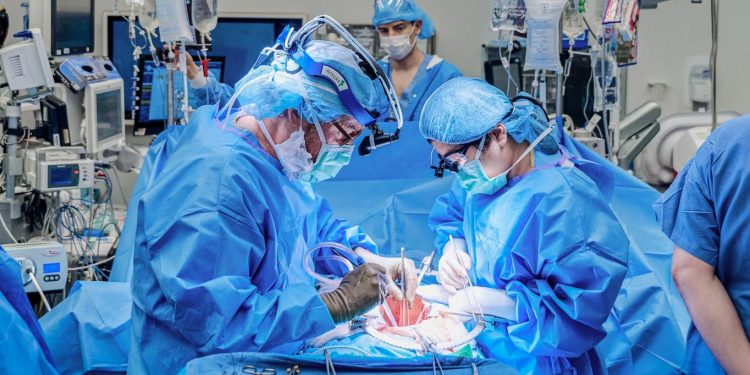 VIDEO O femeie a devenit primul pacient din lume supus unei proceduri combinate de implant de pompă cardiacă și transplant de rinichi de porc